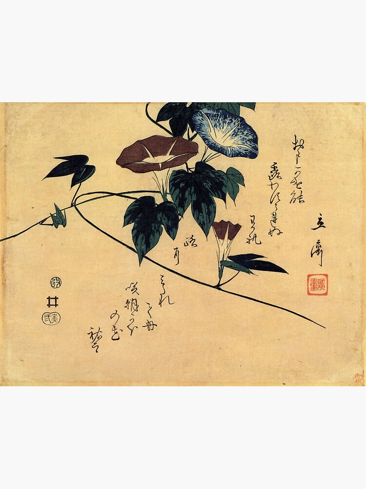 Morning Glory by Katsushika Hokusai (Reproduction) by RozAbellera
