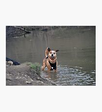 Lámina fotográfica Interrupción Pondside