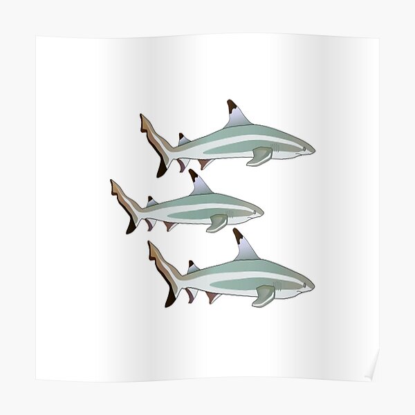 Tip of the Reef Poster