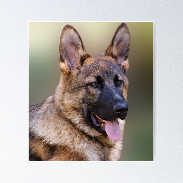 Item preview, Chance - Portrait designed and sold by Sandy Keeton.