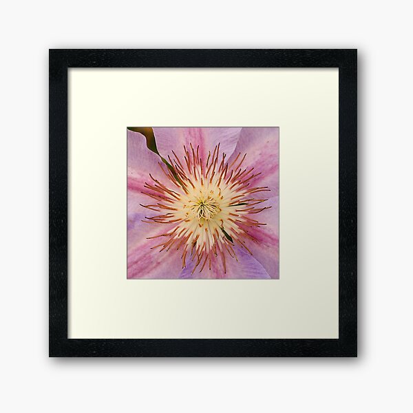 Item preview, Sugar-Pink-Colored Flower Art Design designed and sold by DEC02.