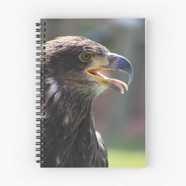 Item preview, Juvenile Bald Eagle designed and sold by Alyce Taylor.