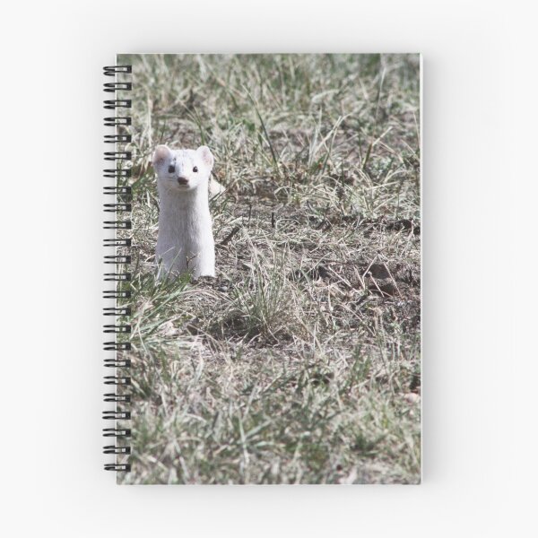 Item preview, Long-tailed Weasel designed and sold by Alyce Taylor.