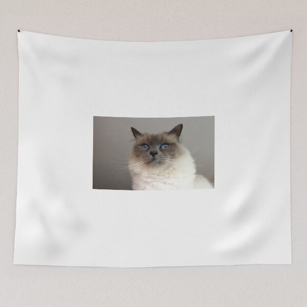 Item preview, Sacred Birman Cat designed and sold by Zoozwear Apparel.