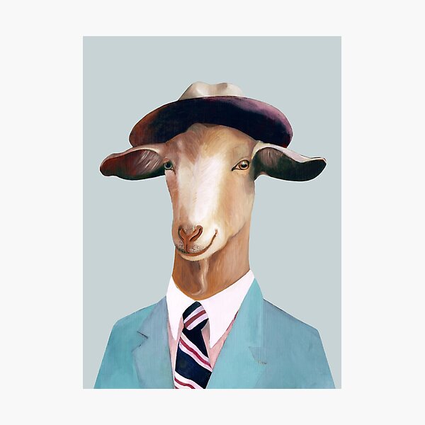 Goat Photographic Print