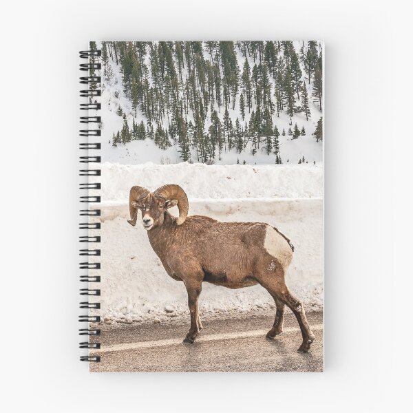 Item preview, Bighorn Sheep (Ovis canadensis) designed and sold by Sue Smith.