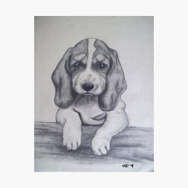 Item preview, puppy designed and sold by nicole swanbeck.