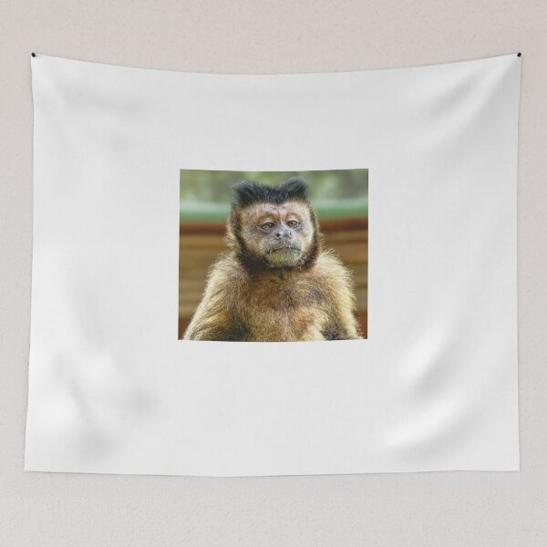 Item preview, Capuchin Monkey designed and sold by Zoozwear Apparel.