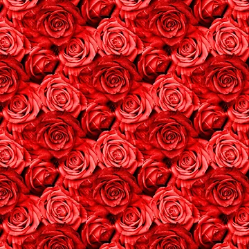 Artwork thumbnail, Red Roses by GraphicAllusion
