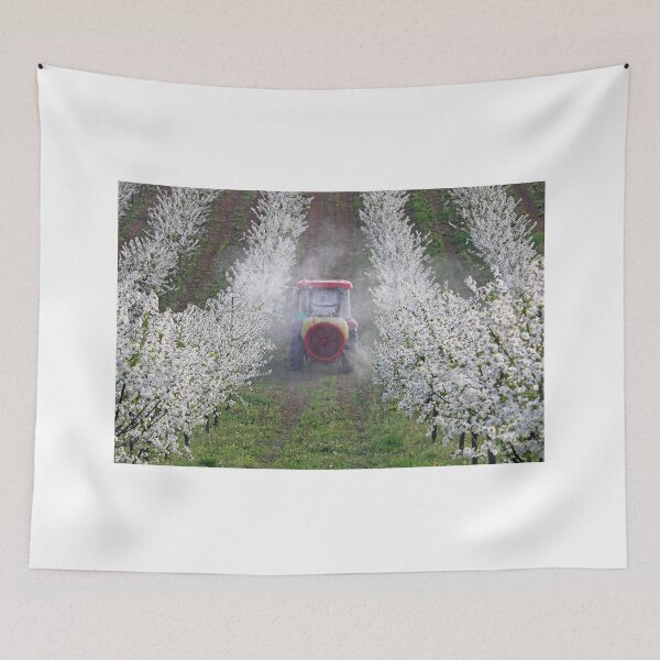 Item preview, tractor sprays insecticide in cherry orchard designed and sold by goceris.
