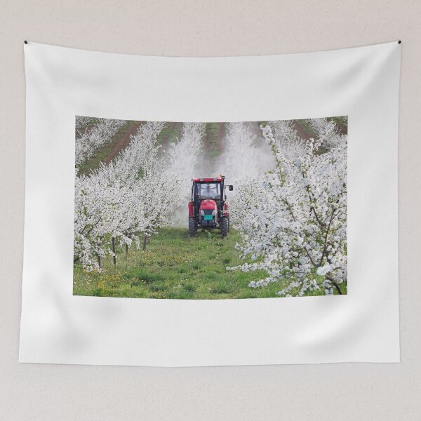 Item preview, tractor sprays insecticide in cherry orchard agriculture designed and sold by goceris.