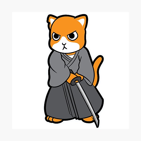 Produits Sur Le Theme Chat De Karate Redbubble