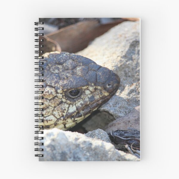 Item preview, Shingleback Lizard, Australia designed and sold by NanaRusty.