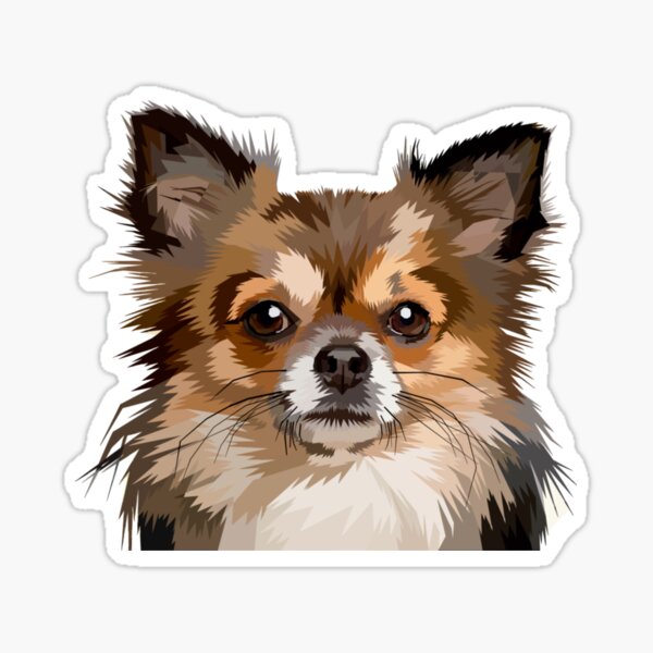 Long haired hotsell chihuahua gifts