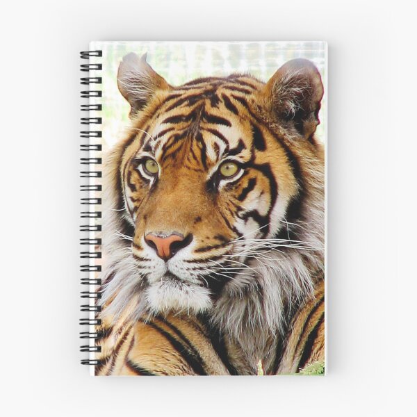 Item preview, Sumatran Tiger (4) designed and sold by Phil Le Cren.