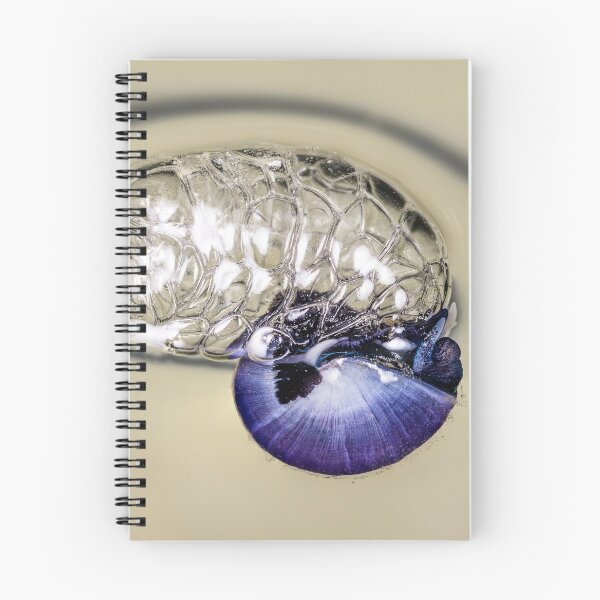 Item preview, Violet snail (Janthina janthina) 8 designed and sold by Normf.