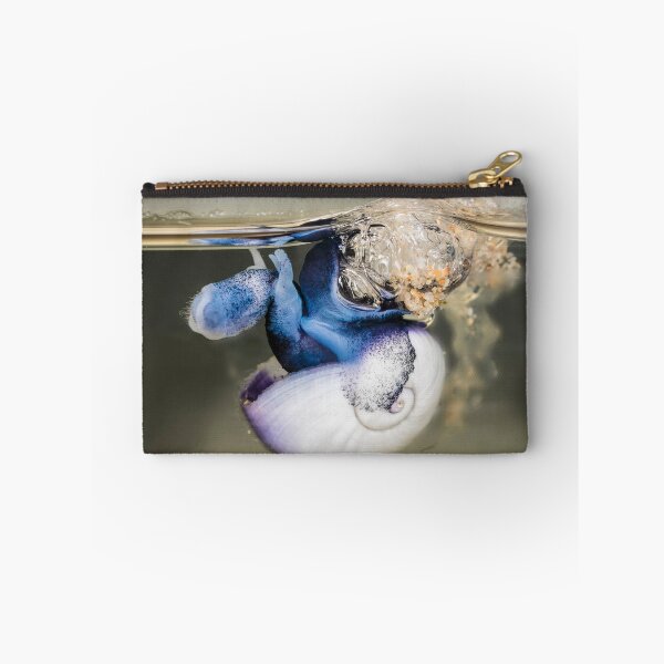 Item preview, Violet snail (Janthina janthina) 9 designed and sold by Normf.