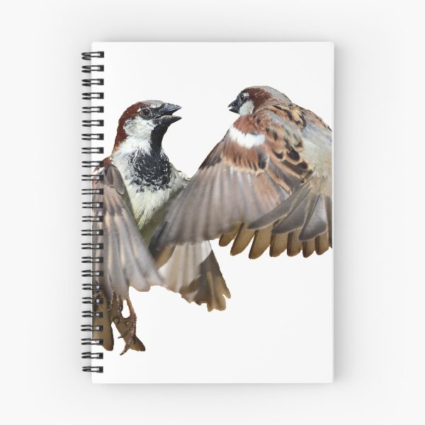 Item preview, Two Sparrows in mid air designed and sold by Holmewood.