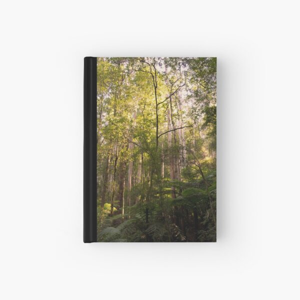 Bask in the sunlight Hardcover Journal