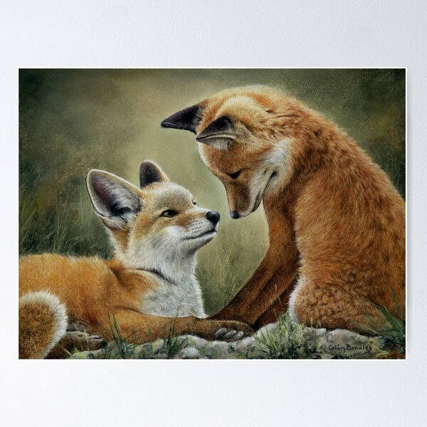 Cute Fox Couple Live Wallpaper: Sweet kissing duo in vector