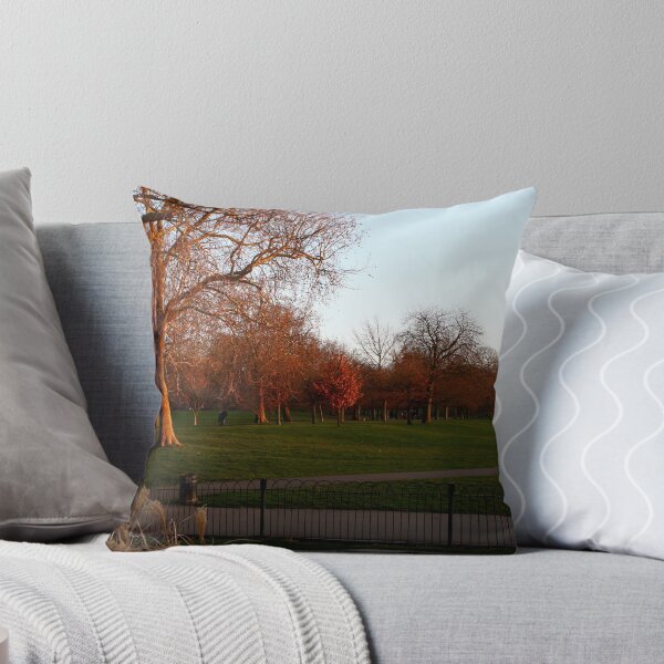Item preview, Greenwich Park at Sunset, London, England designed and sold by aidan  moran.