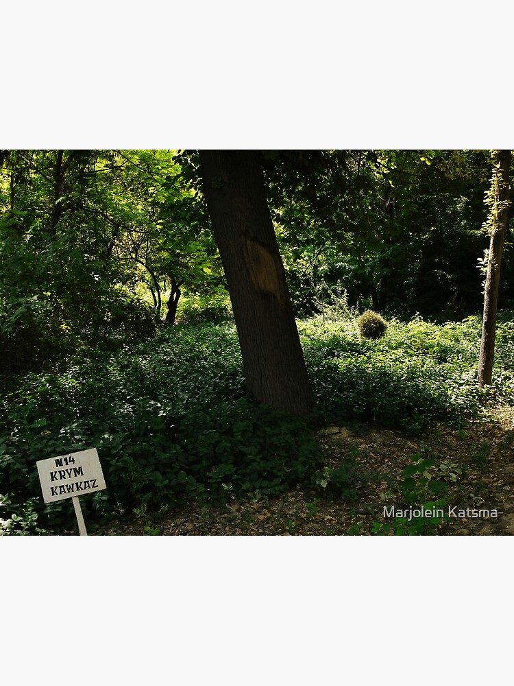Plot nr. 14 by marjoleink