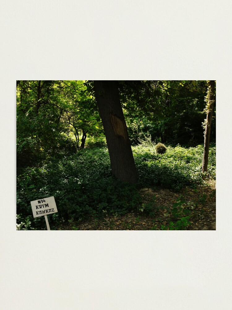 Alternate view of Plot nr. 14 Photographic Print
