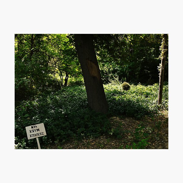 Item preview, Plot nr. 14 designed and sold by Marjolein Katsma.