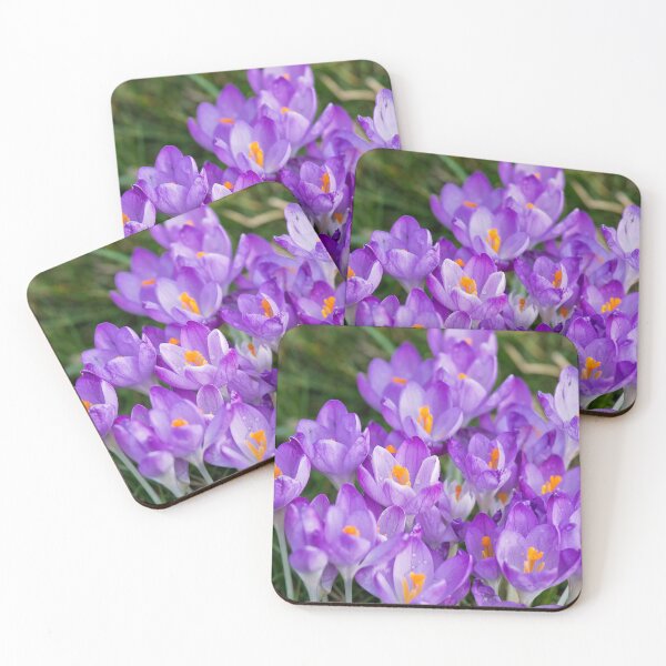 Item preview, Clump of English wild purple crocuses designed and sold by Violaman.