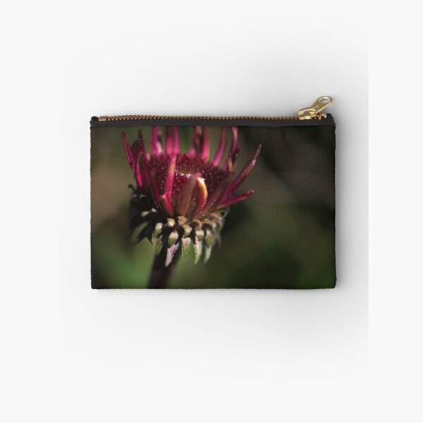 Item preview, Echinacea Daybreak designed and sold by Clare Colins.