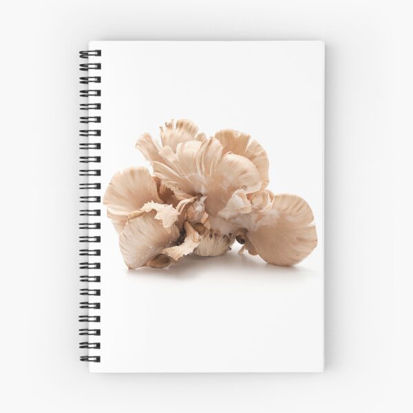 Item preview, Oyster mushroom designed and sold by troianifabrizio.