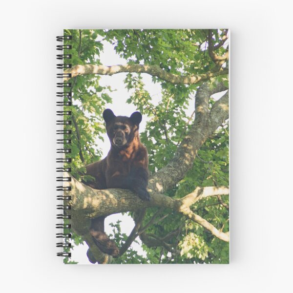 Item preview, King of the Forest: North Carolina Black Bear designed and sold by Regan Crowley.