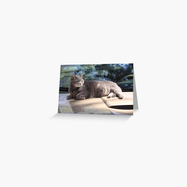 a warm breezy day Greeting Card