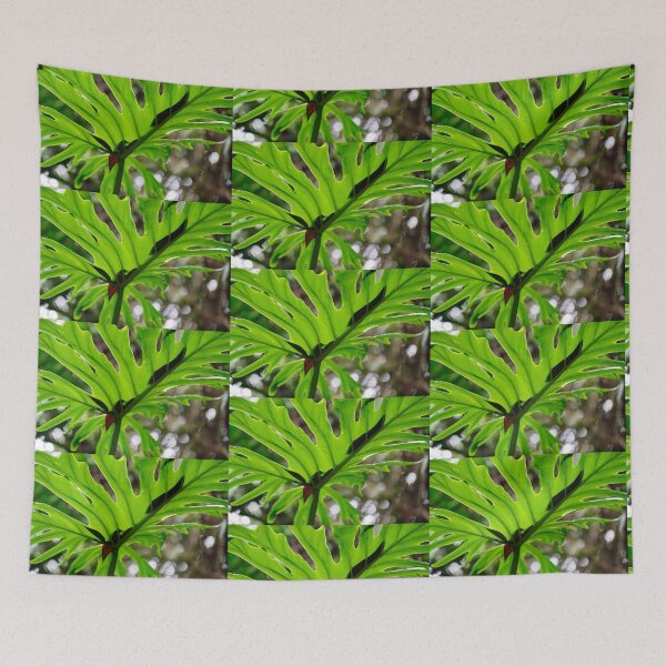 Item preview, Leaf Catchment designed and sold by Kerryn Madsen-Pietsch.