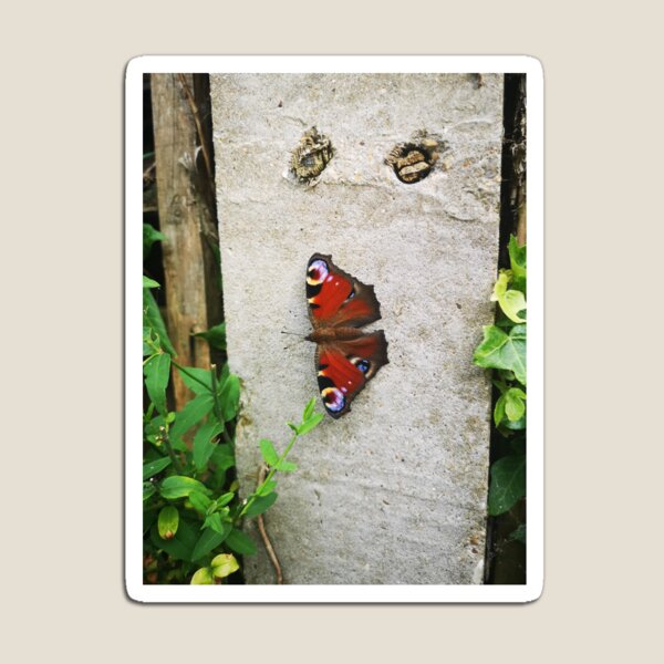 Item preview, Peacock butterfly on a concrete post designed and sold by panda762.