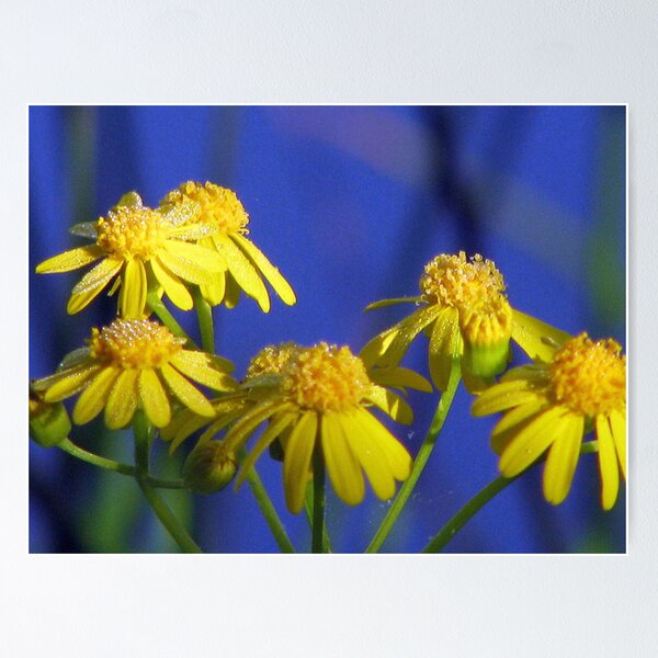 Item preview, Tiny Wildflowers in the Dew designed and sold by DottieDees.