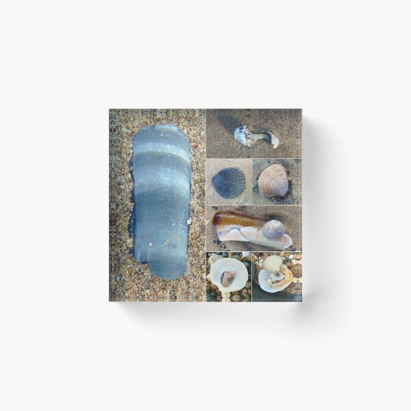 Item preview, shells designed and sold by KathleenDawson.