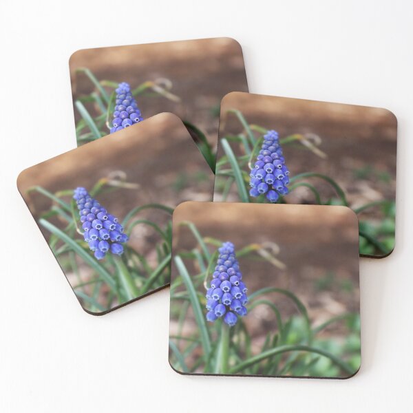 Item preview, grape hyacinth  designed and sold by speecherri.