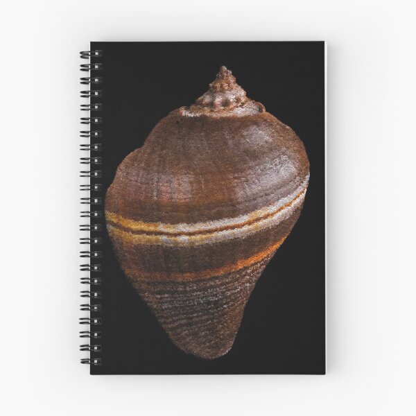 Item preview, Shell 3rd type - 143 designed and sold by OracleArtist.