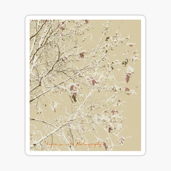 Coffee colored leaves and branches Sticker
