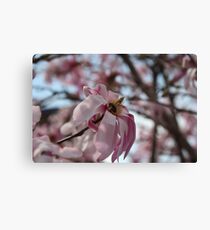 Bee-autiful Canvas Print