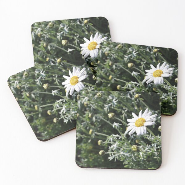 Item preview, Large Daisy designed and sold by pinkal.