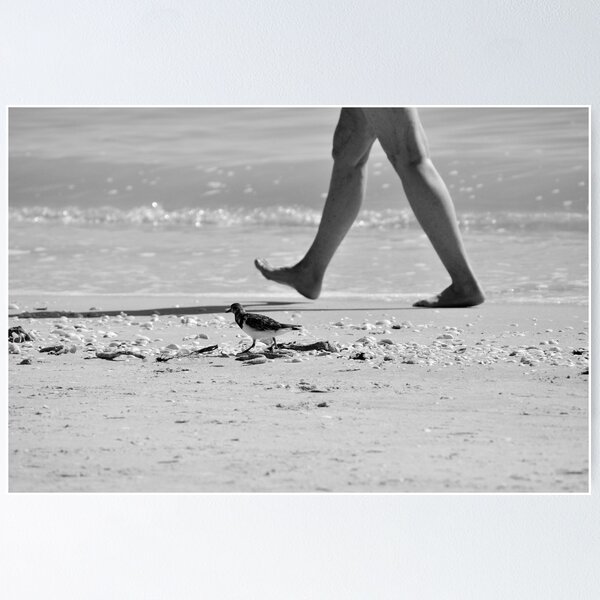 Item preview, Just a walk on the beach designed and sold by sdemick.