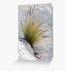 Grasses Greeting Card