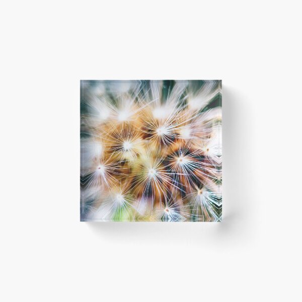 Item preview, Dandelion flower designed and sold by fardad.