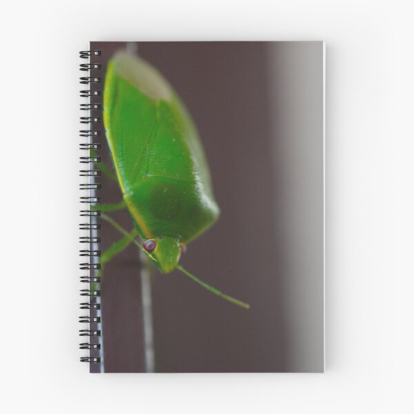 Item preview, Green bug designed and sold by rom01.