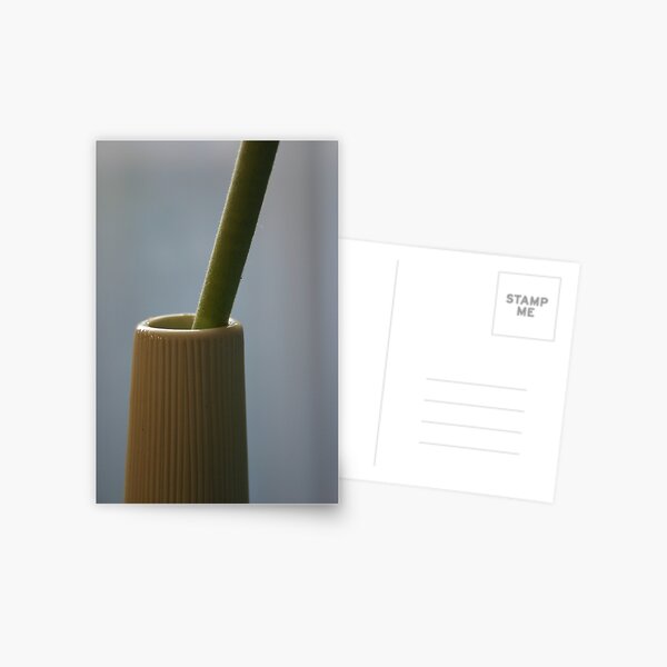 Green & white Postcard