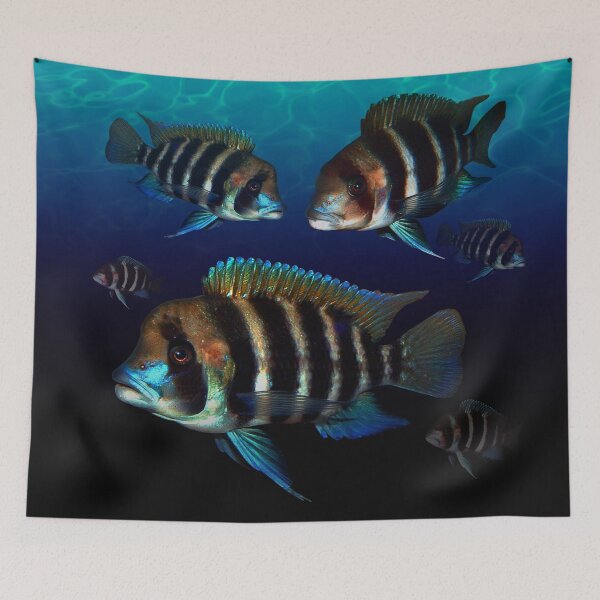 Item preview, African Frontosa  designed and sold by Johnny Furlotte.