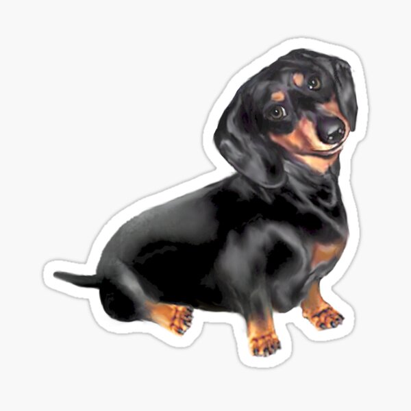 Item preview, Dachshund - black and tan #1 designed and sold by JeanBFitzgerald.