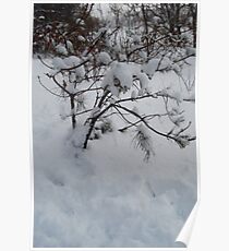 Charlie Brown Tree Poster